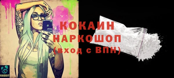 шишки Армянск