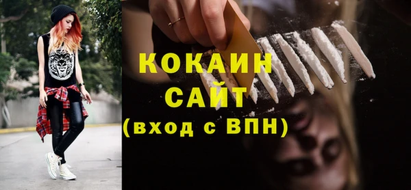 шишки Армянск