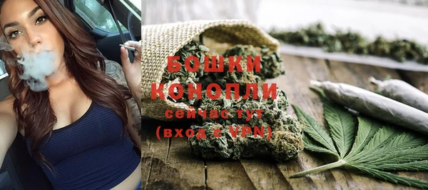 прущие крисы Аркадак